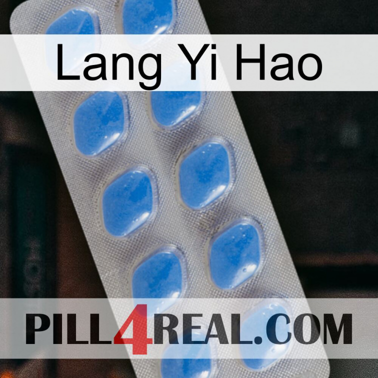 Lang Yi Hao 22